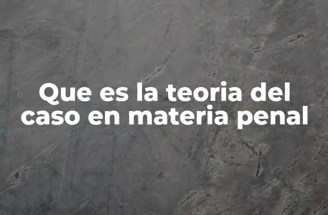 Que es la Teoria Del Caso en Materia Penal