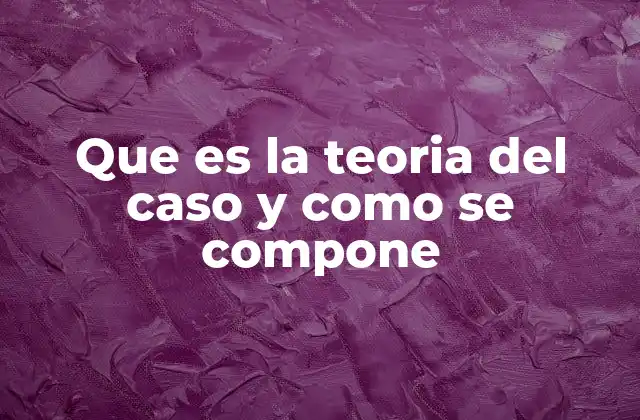 Que es la Teoria Del Caso y como Se Compone