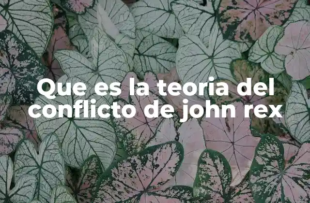 Que es la Teoria Del Conflicto de John Rex