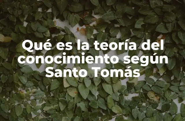Qué es la Teoría Del Conocimiento según Santo Tomás