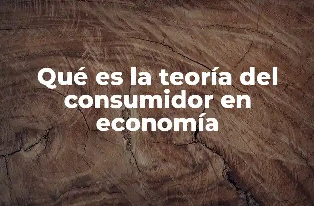 Qué es la Teoría Del Consumidor en Economía