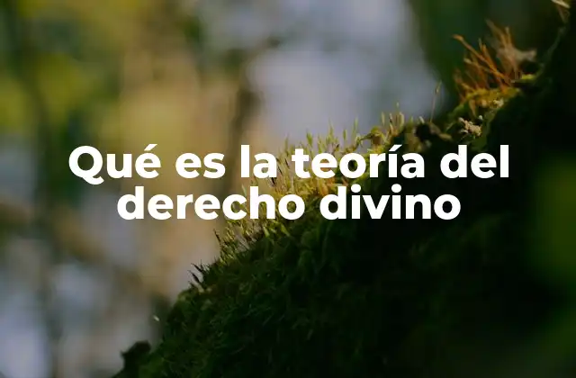 Qué es la Teoría Del Derecho Divino