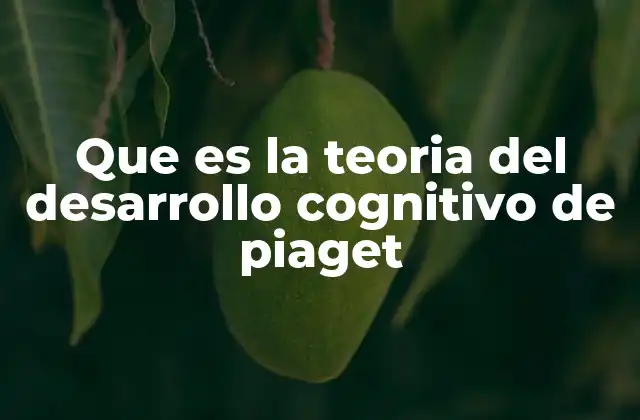 Que es la Teoria Del Desarrollo Cognitivo de Piaget