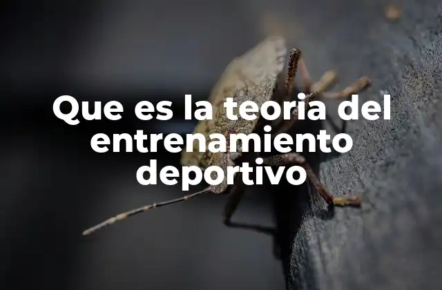 Que es la Teoria Del Entrenamiento Deportivo