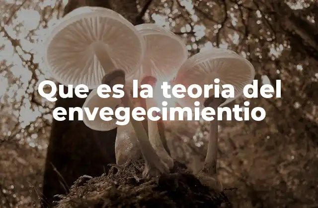 Que es la Teoria Del Envegecimientio