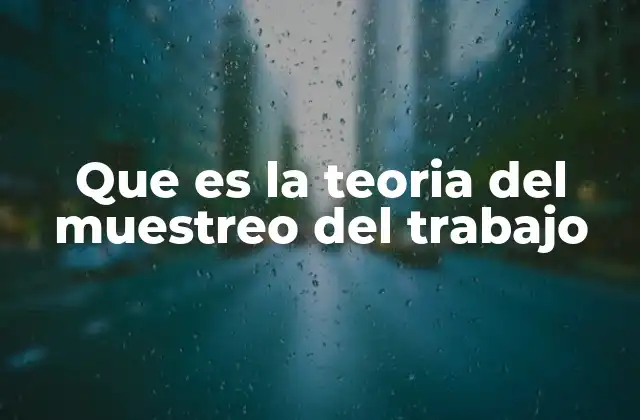 Que es la Teoria Del Muestreo Del Trabajo