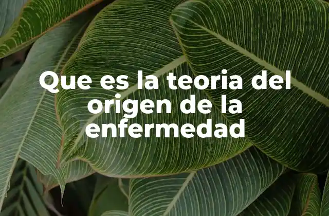 Que es la Teoria Del Origen de la Enfermedad