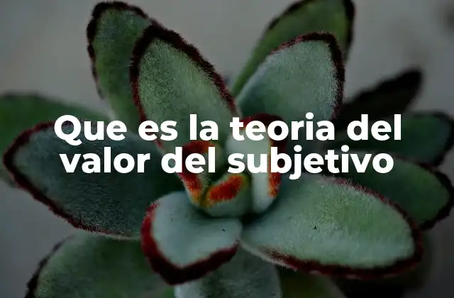 Que es la Teoria Del Valor Del Subjetivo