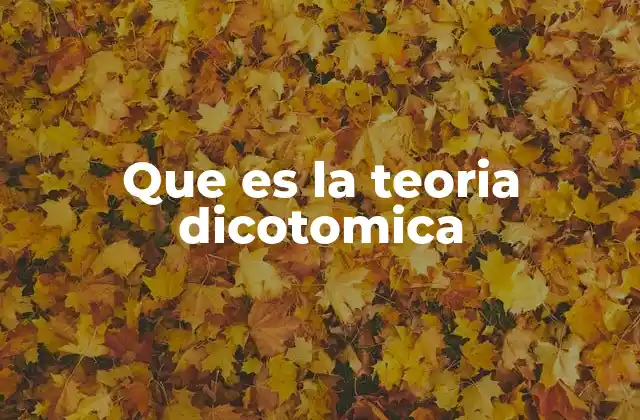 Que es la Teoria Dicotomica