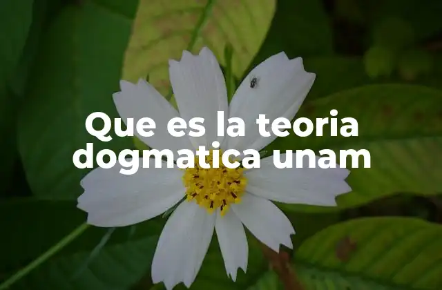 Que es la Teoria Dogmatica Unam