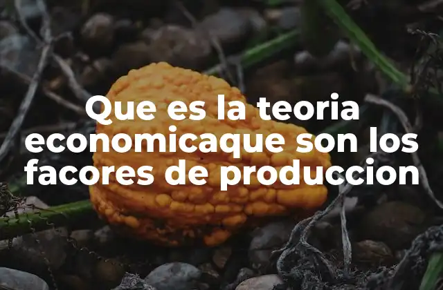 Que es la Teoria Economicaque Son los Facores de Produccion