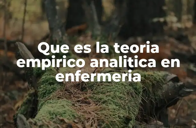 Que es la Teoria Empirico Analitica en Enfermeria