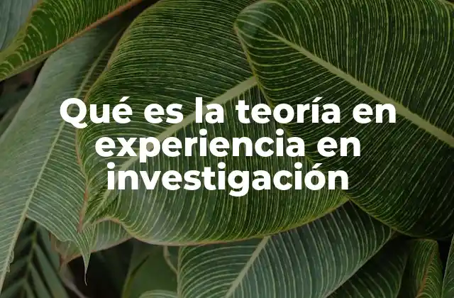 Qué es la Teoría en Experiencia en Investigación