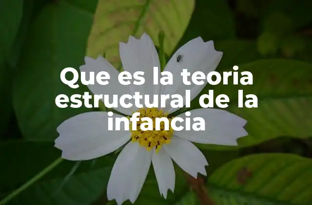 Que es la Teoria Estructural de la Infancia 2 El papel de las estructuras sociales en el desarrollo infantil