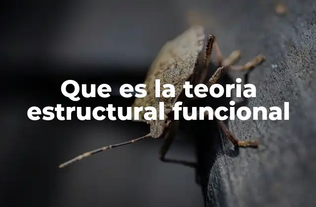 Que es la Teoria Estructural Funcional 2 Cómo se aplica esta teoría en el análisis social
