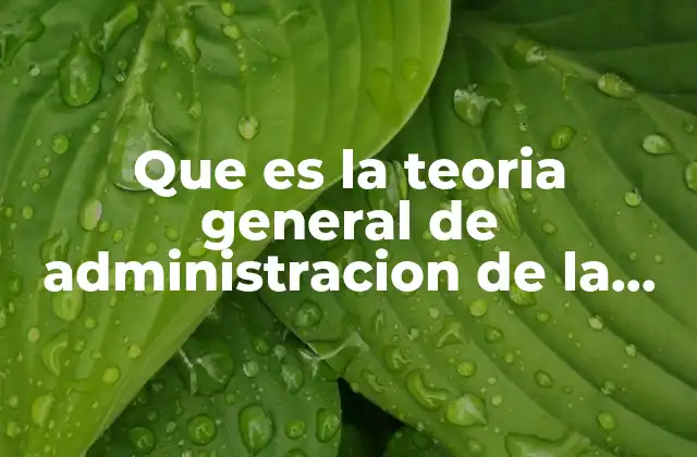 Que es la Teoria General de Administracion de la Enfermeria