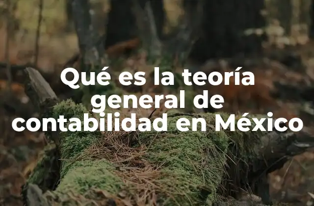 Qué es la Teoría General de Contabilidad en México