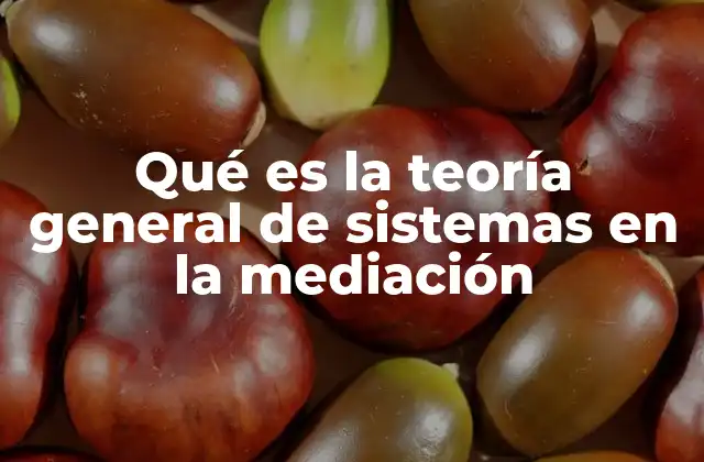 Qué es la Teoría General de Sistemas en la Mediación