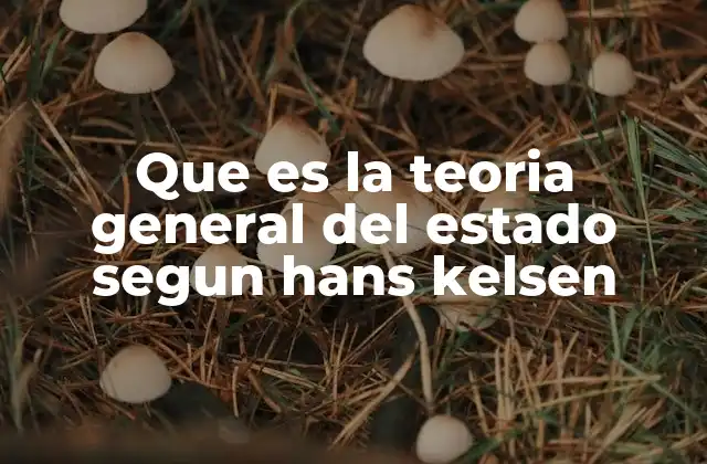 Que es la Teoria General Del Estado Segun Hans Kelsen