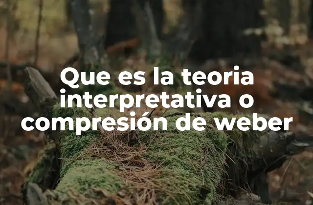 Que es la Teoria Interpretativa o Compresión de Weber
