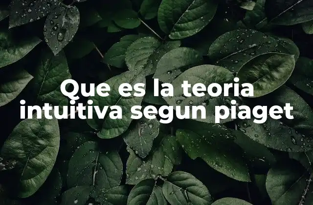 Que es la Teoria Intuitiva Segun Piaget