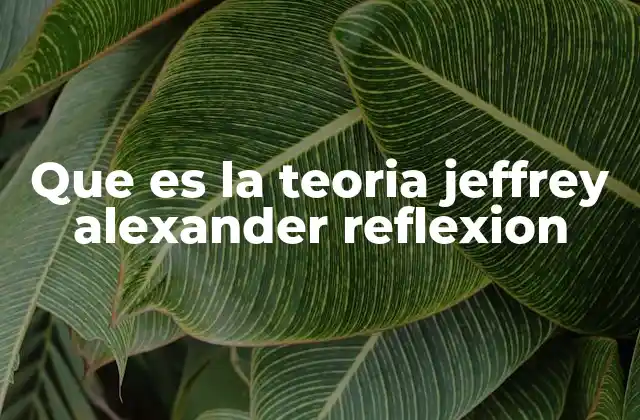 Que es la Teoria Jeffrey Alexander Reflexion