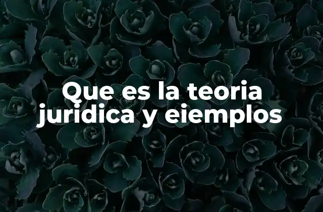 Que es la Teoria Juridica y Eiemplos