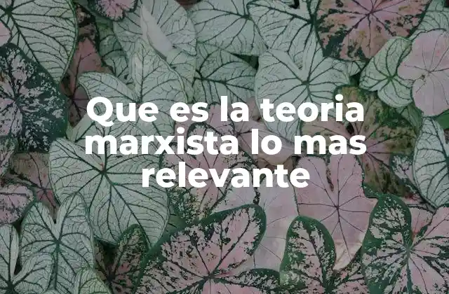 Que es la Teoria Marxista Lo mas Relevante