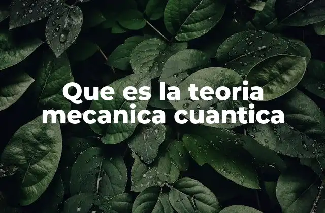 Que es la Teoria Mecanica Cuantica