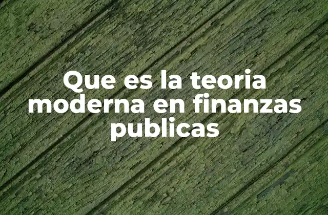 Que es la Teoria Moderna en Finanzas Publicas