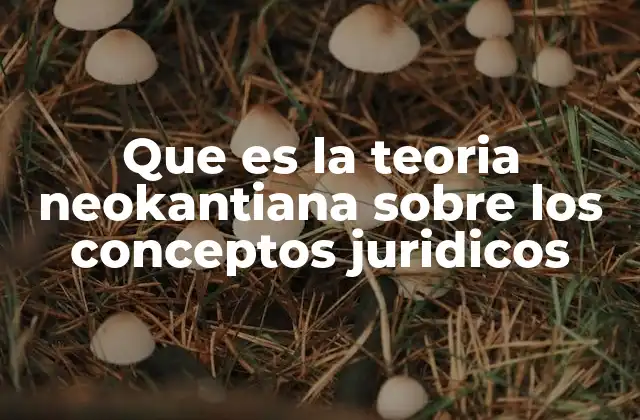 Que es la Teoria Neokantiana sobre los Conceptos Juridicos