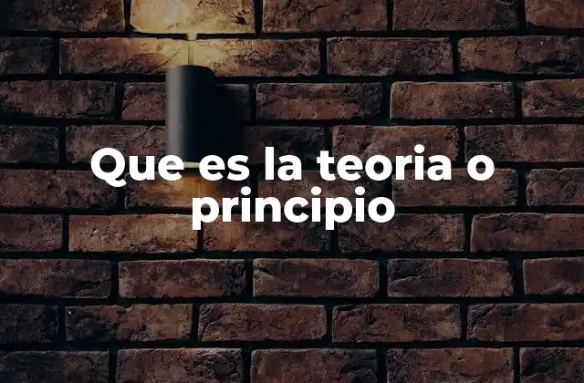 Que es la Teoria o Principio