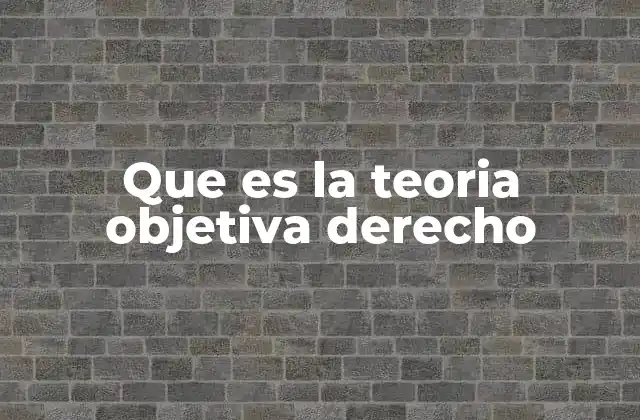 Que es la Teoria Objetiva Derecho