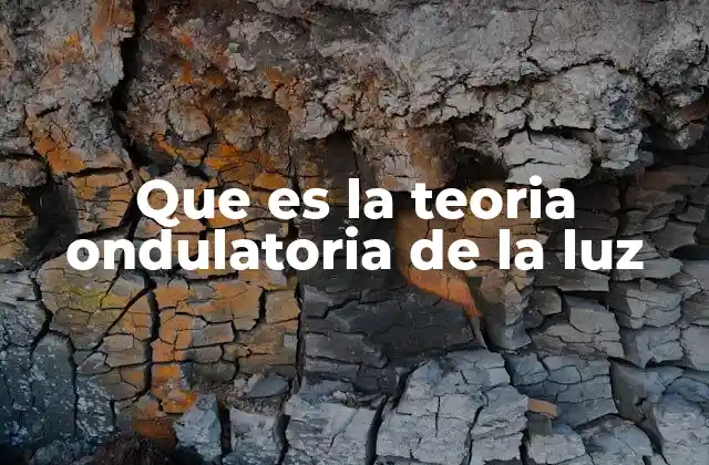 Que es la Teoria Ondulatoria de la Luz