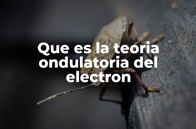 Que es la Teoria Ondulatoria Del Electron