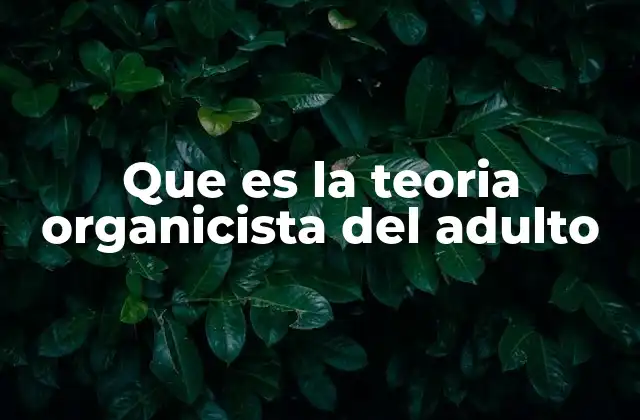 La visión integral del desarrollo adulto