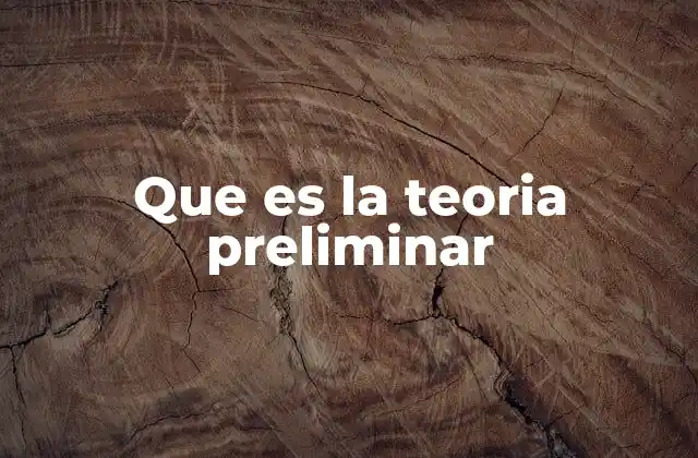 Que es la Teoria Preliminar
