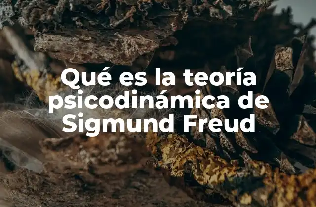Qué es la Teoría Psicodinámica de Sigmund Freud