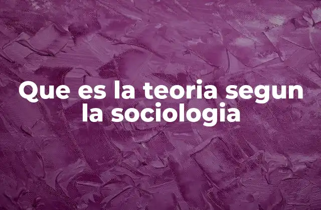 Que es la Teoria Segun la Sociologia