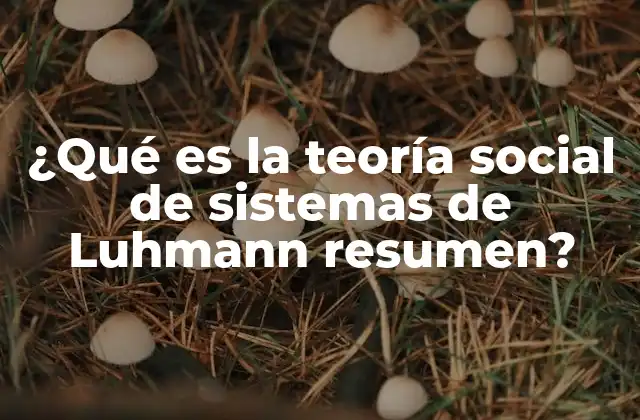 ¿qué es la Teoría Social de Sistemas de Luhmann Resumen?
