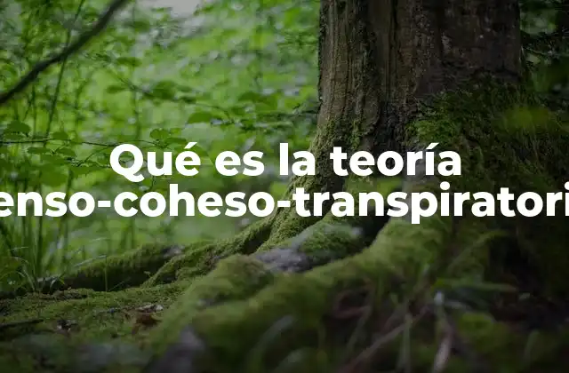 Qué es la Teoría Tenso-coheso-transpiratoria