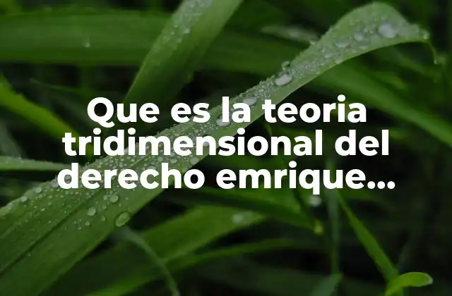 Que es la Teoria Tridimensional Del Derecho Emrique Carpizo