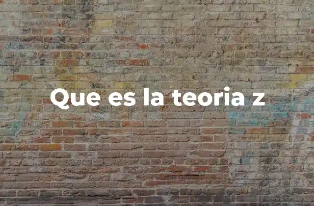 Que es la Teoria Z