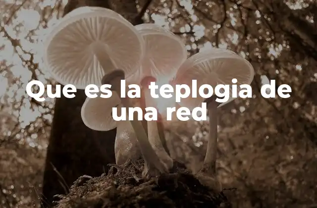 Que es la Teplogia de una Red