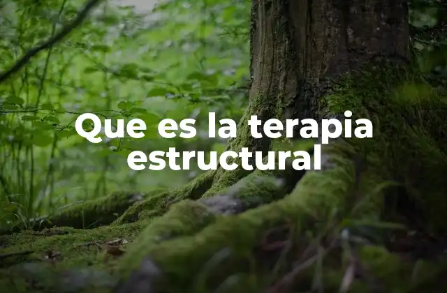 Que es la Terapia Estructural 2 Comprendiendo la dinámica familiar desde una perspectiva sistémica