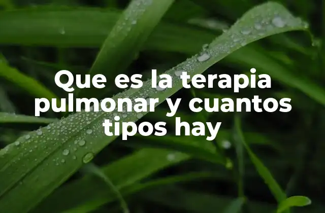Que es la Terapia Pulmonar y Cuantos Tipos Hay