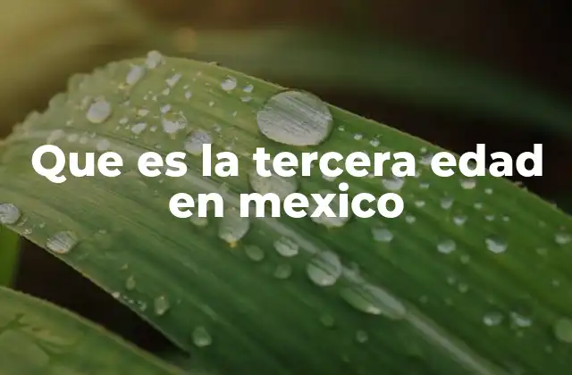 Que es la Tercera Edad en Mexico