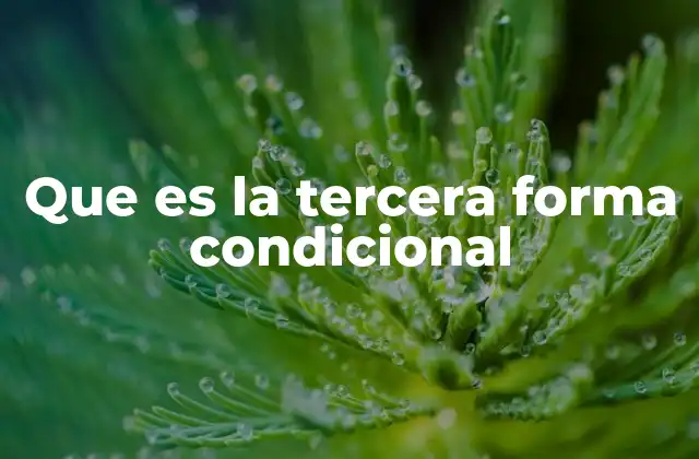 La construcción de las oraciones condicionales irreales