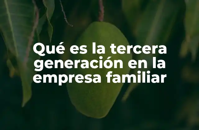 Qué es la Tercera Generación en la Empresa Familiar