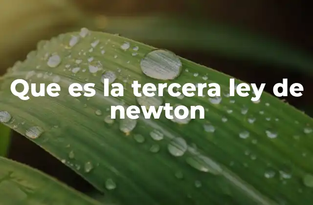 Que es la Tercera Ley de Newton